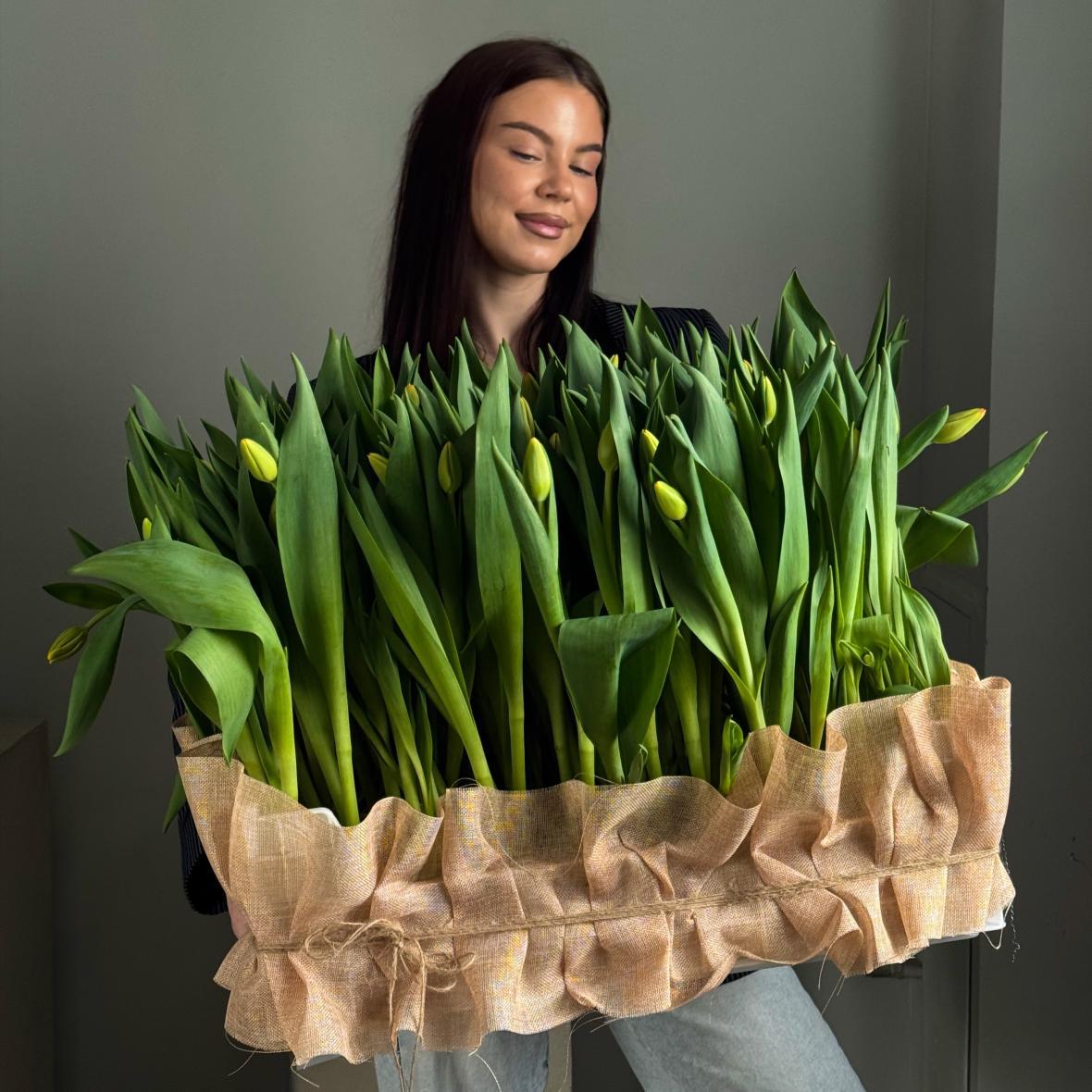 Сад тюльпанов