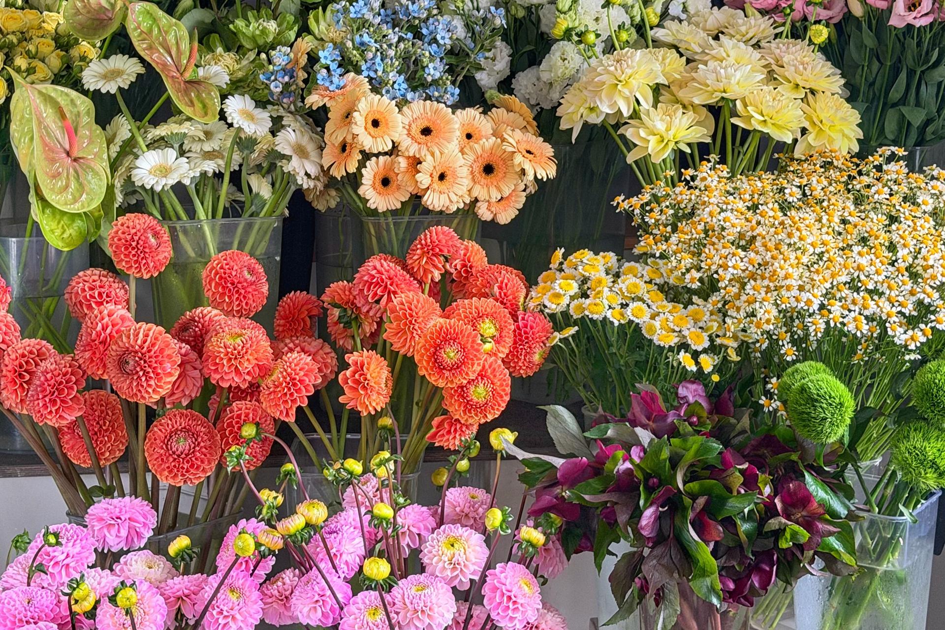 Доставка цветов Владимир - заказать букеты с доставкой круглосуточно от АмурФлора