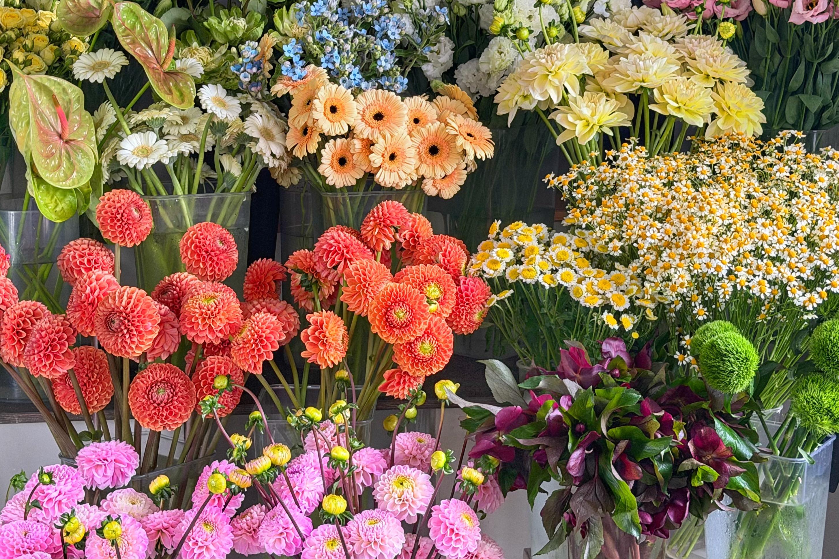 Доставка цветов во Владимире — заказать букет | Amour Flora