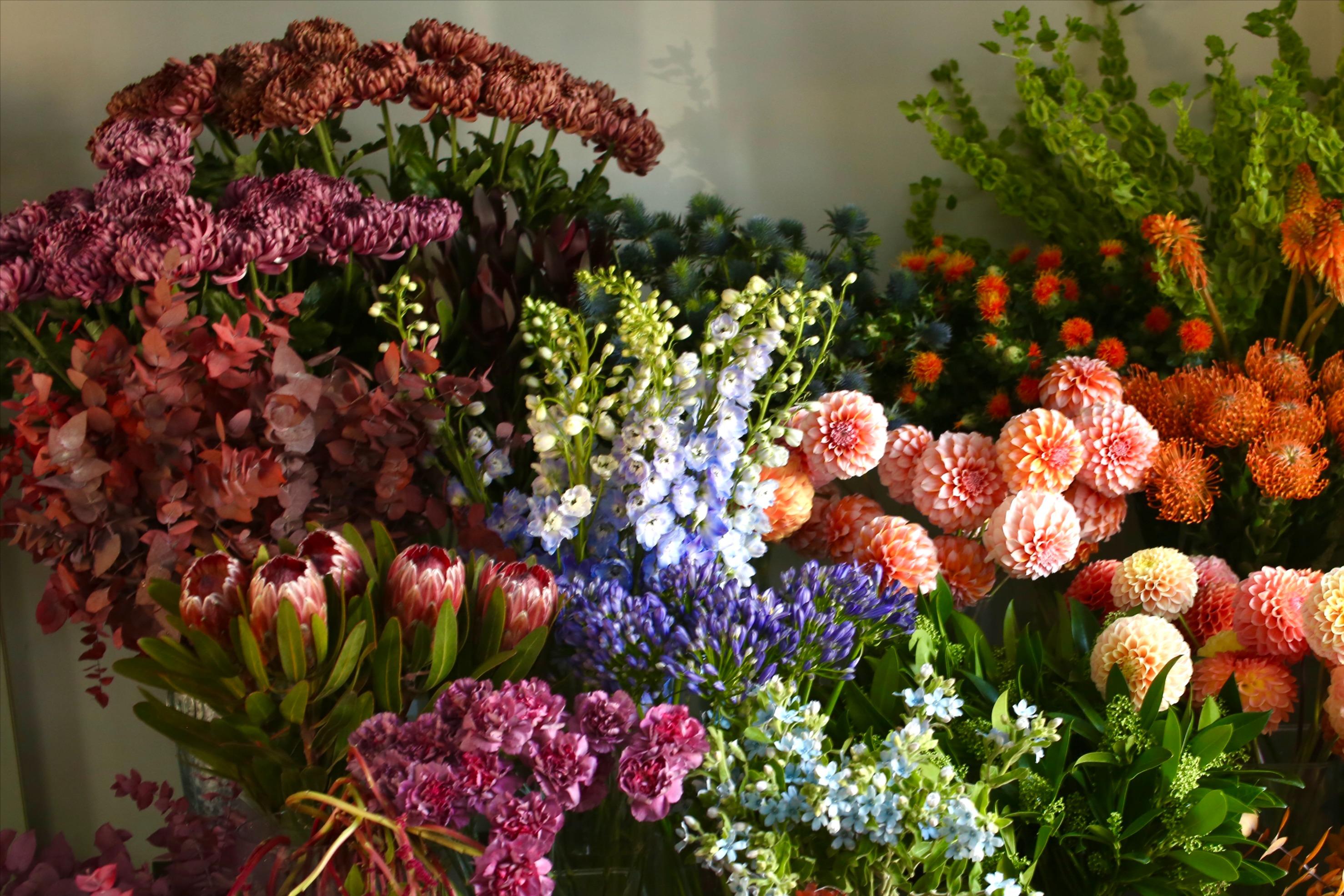Доставка цветов во Владимире — заказать букет | Amour Flora