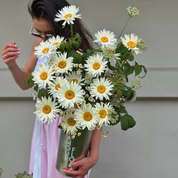 21 шт