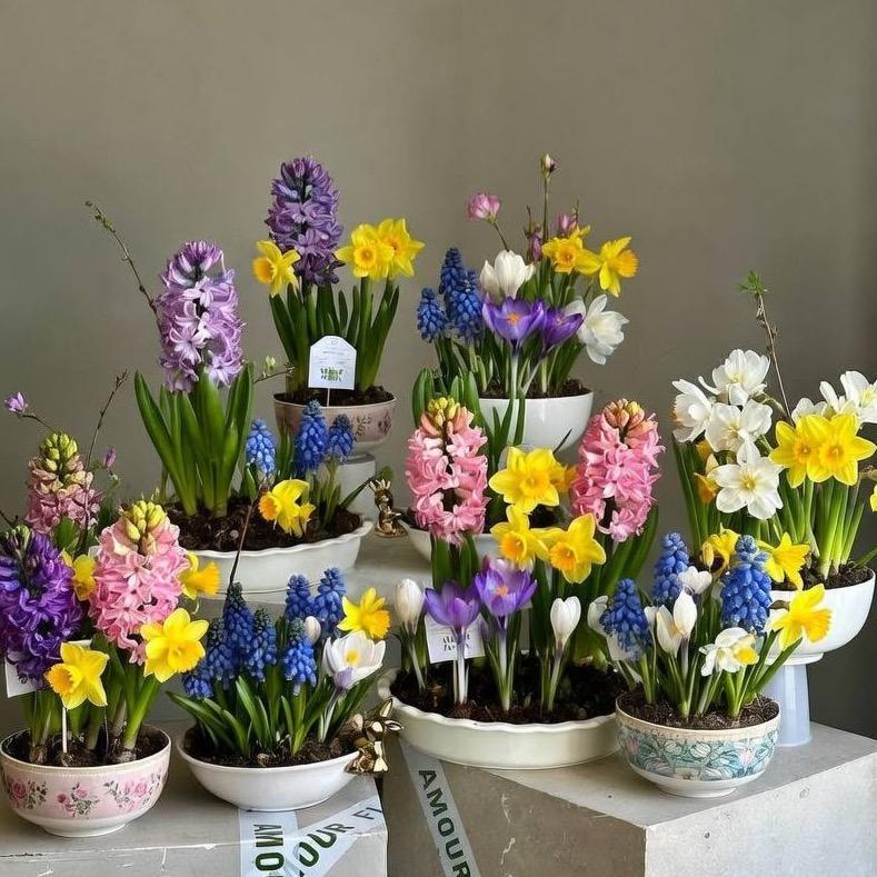 Цветущий сад