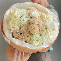 макси