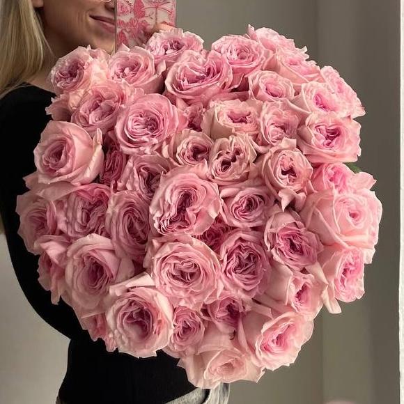 Роза Pink O’Hara
