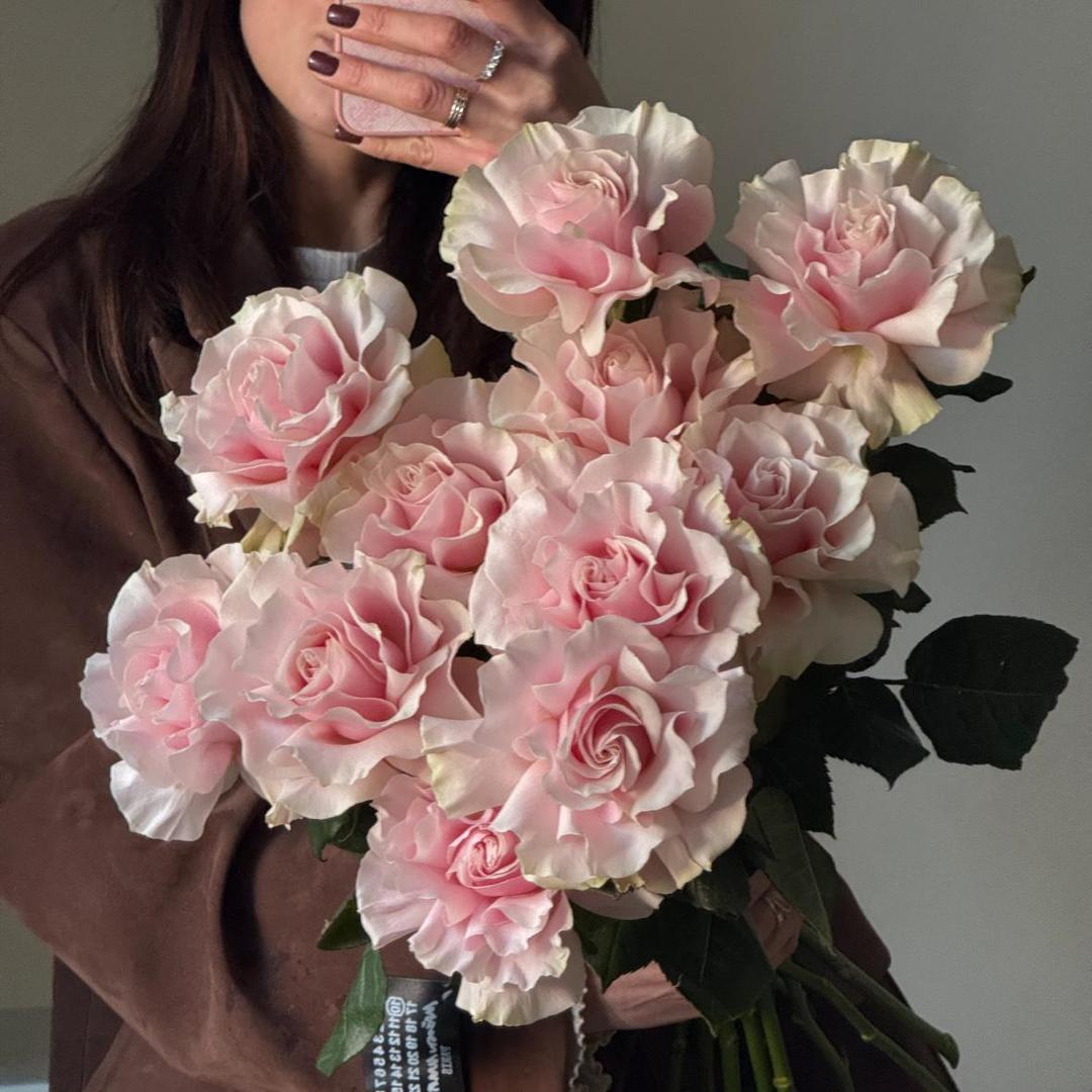 Розы Pink Mondiale