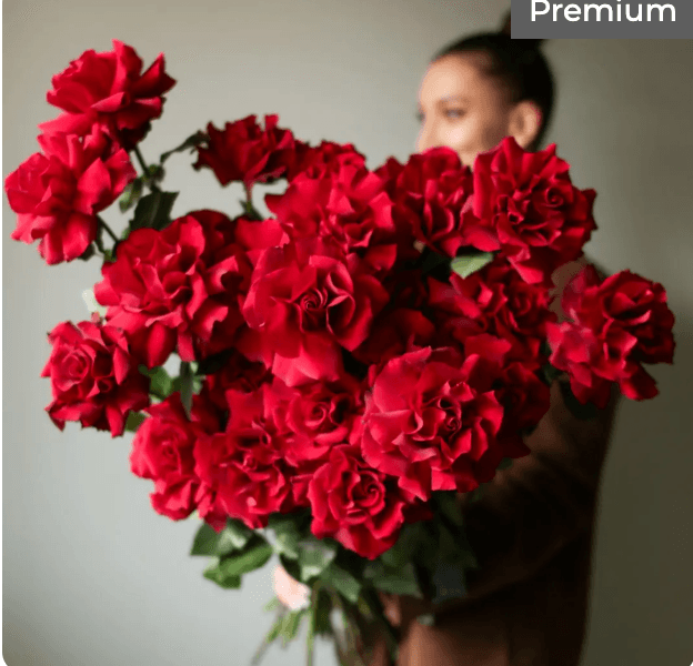 Роза Explorer(25шт)