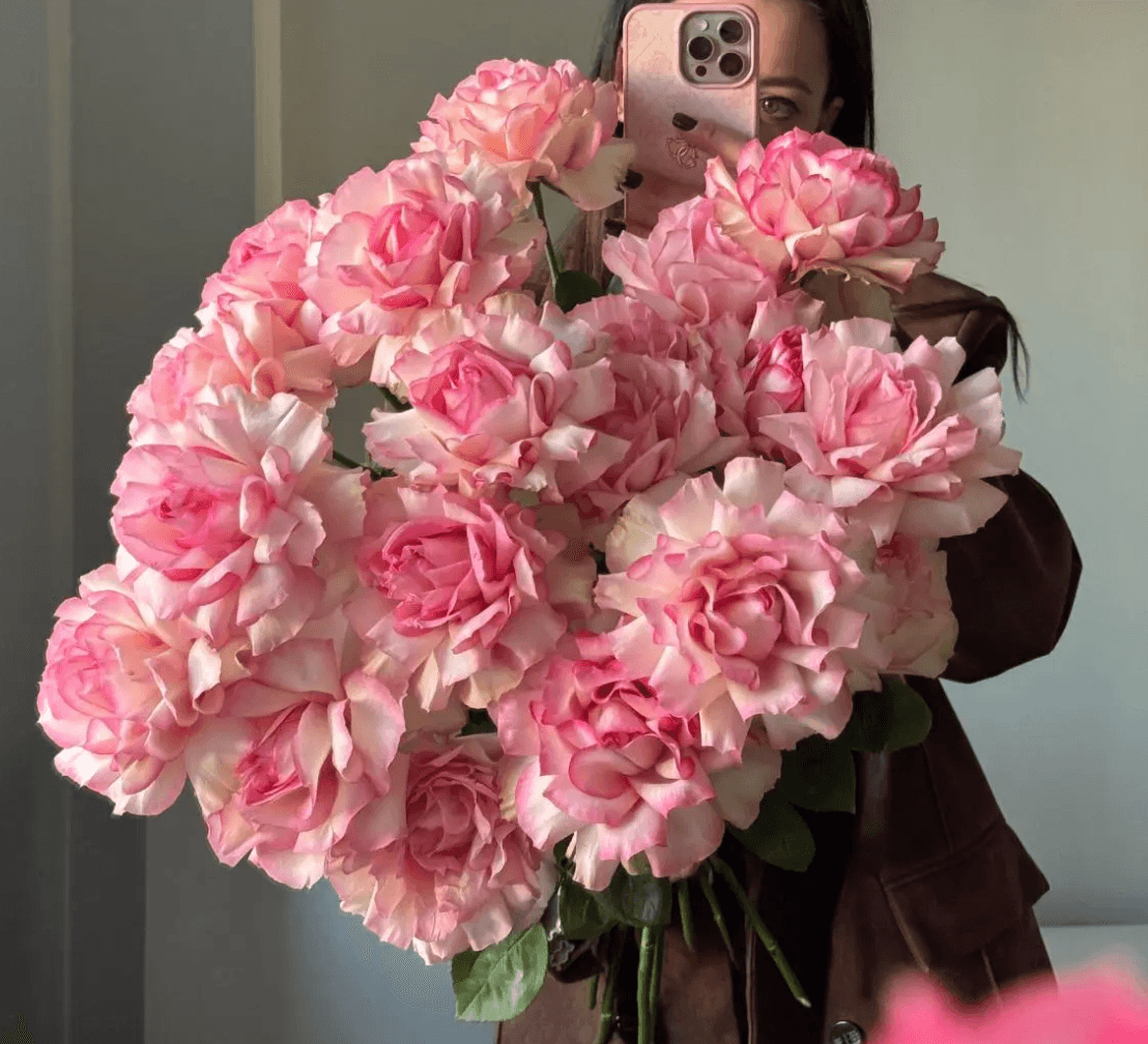 Розы Esperance(9 шт)