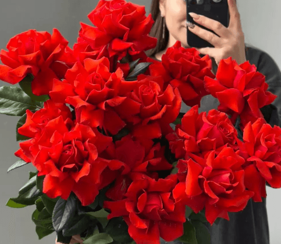 Розы NINA(5шт)