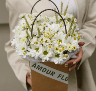 Сумочка 321(белая)